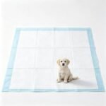 Three-layer dog urine pad sample made by the automatic pet pad machine